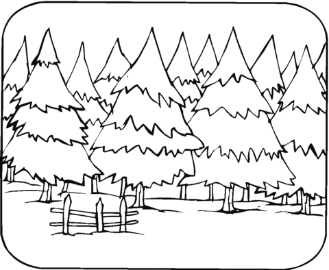 Pine Trees Coloring Page